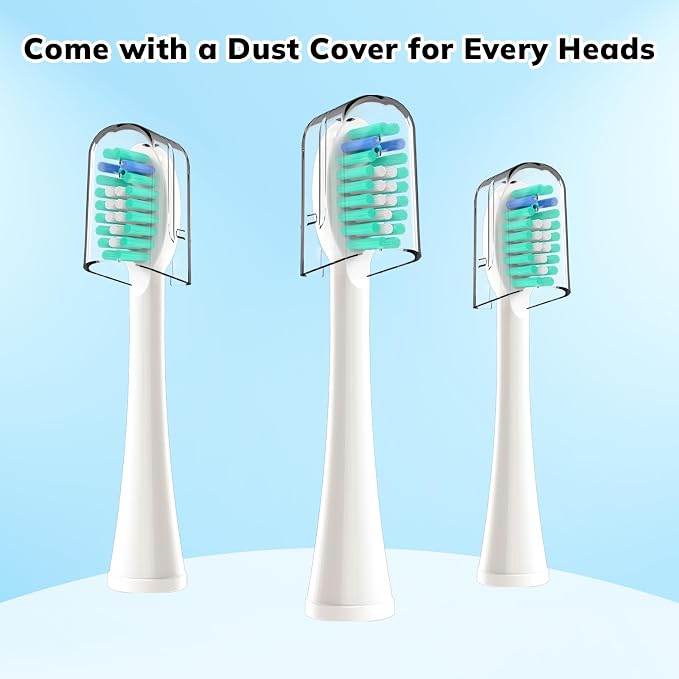 6p White Handle With Blue Bristles