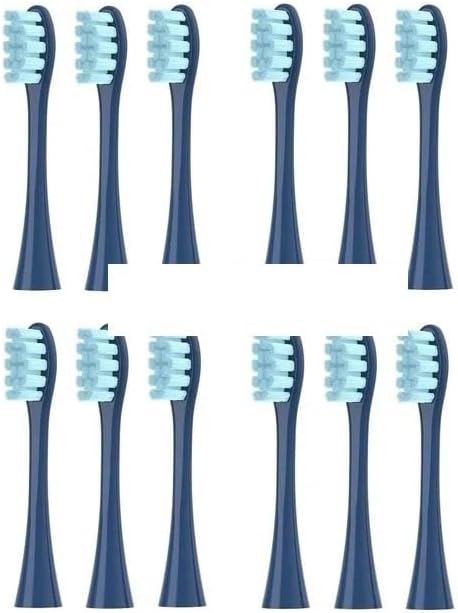 12 Pcs Blue
