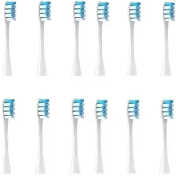 12pcs Blue