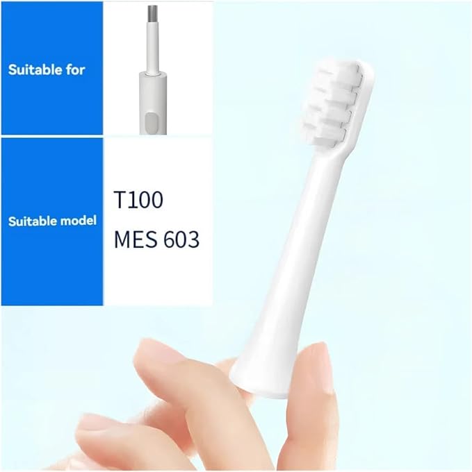 T100-wh6 Pk6