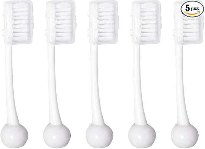 5 Relacement Heads