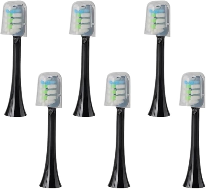 Shushi-bk-6pcs