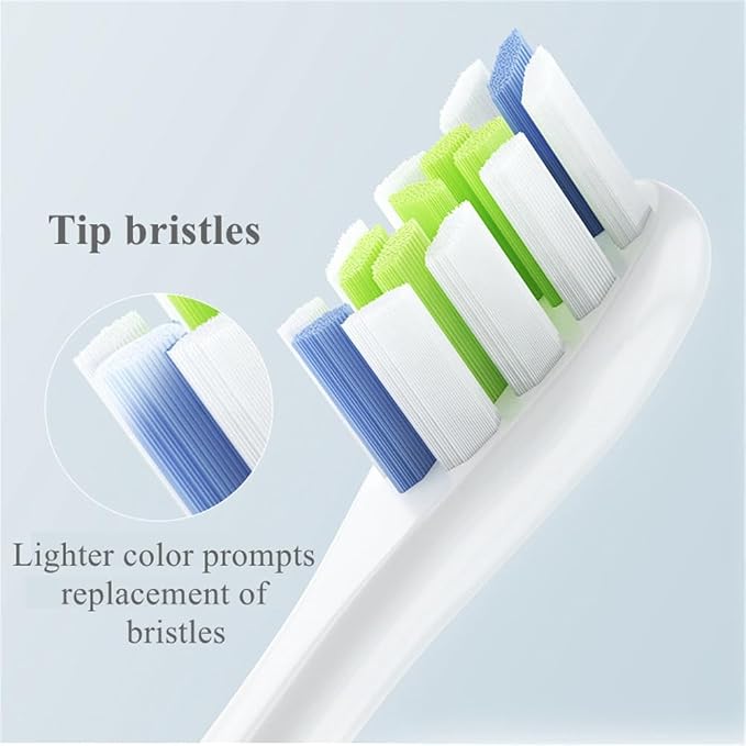 12 Pcs Blue