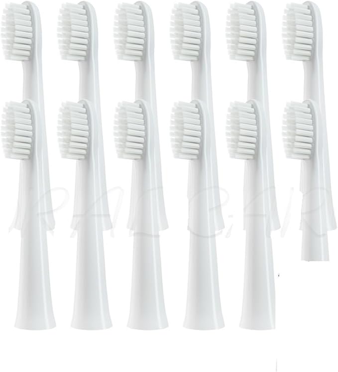 Standard 12pcs