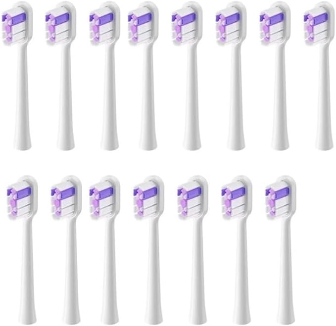 Regular-purple