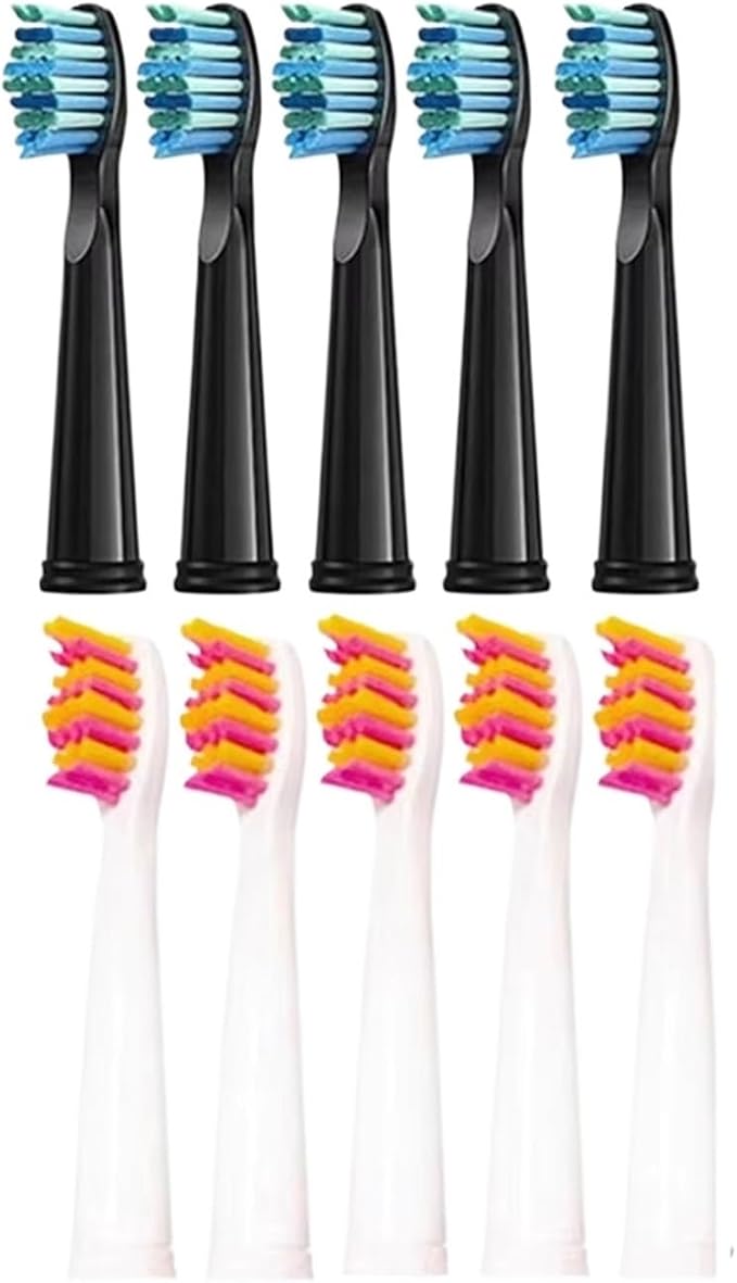 5black5pink