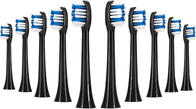 10pcs Black S100