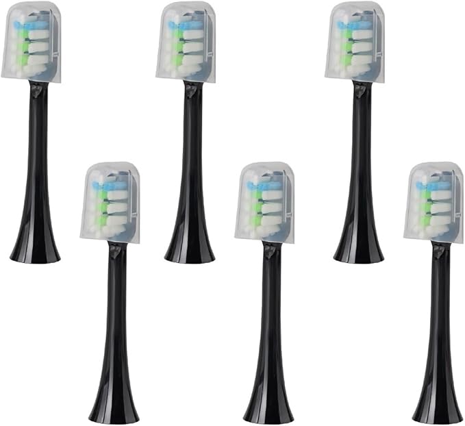 Shushi-bk-6pcs