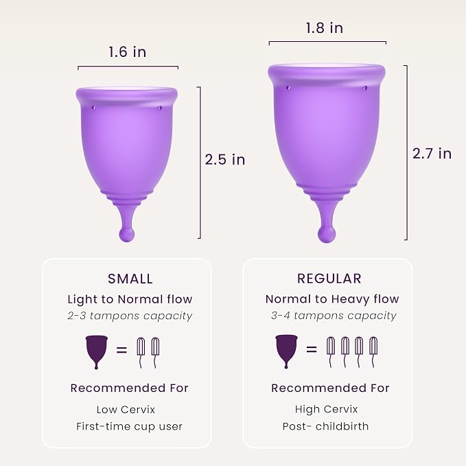 Cup and Case