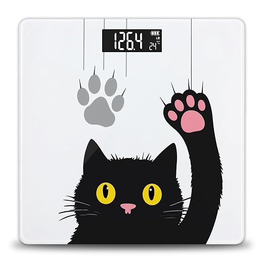 Cute Black Cat