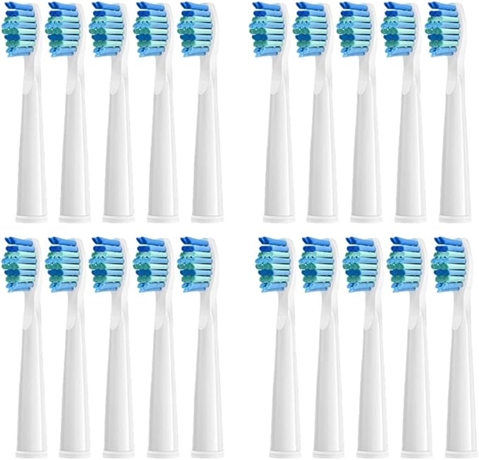 20 Pcs Wt