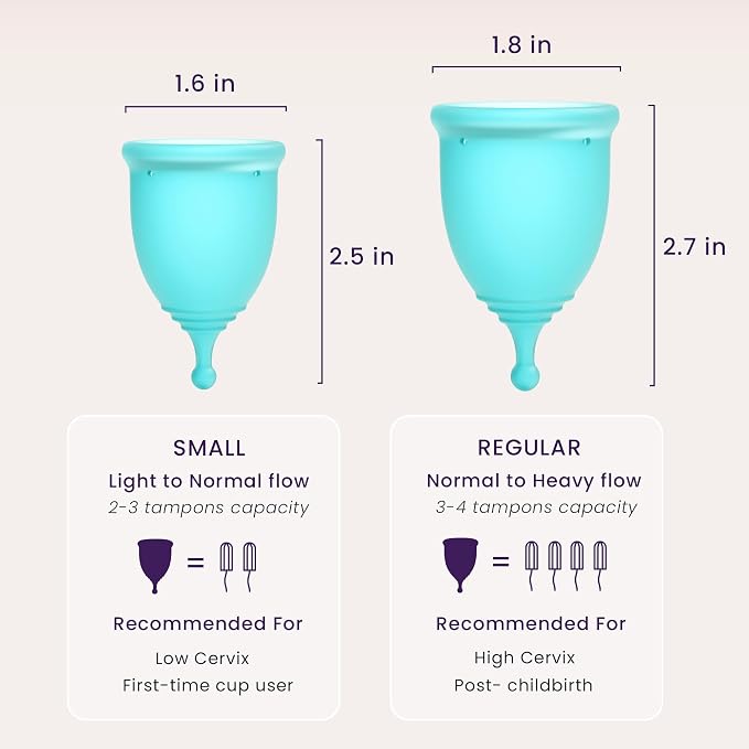 Cup and Case