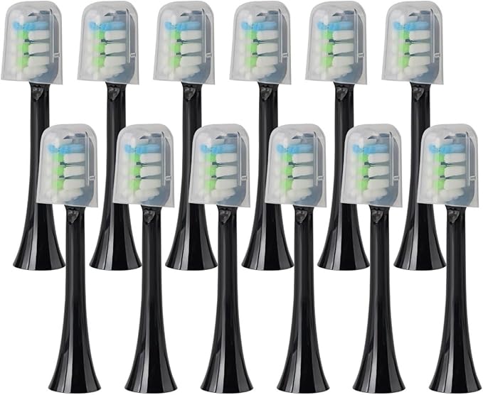 Shushi-bk-12pcs