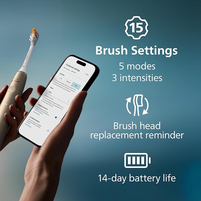 Champagne + Brush Heads