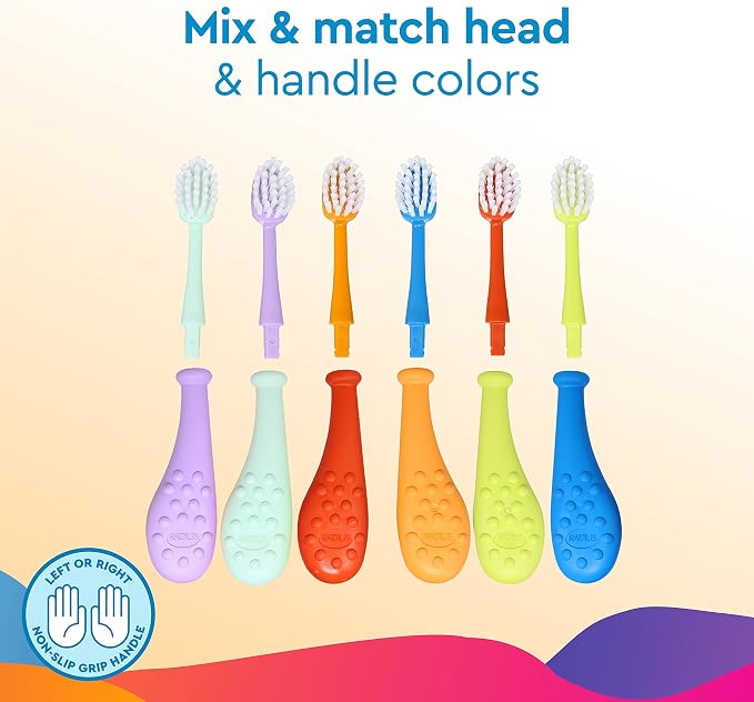 Coral, Blue, Chartruese, Mint, Lavendar, Tangerine