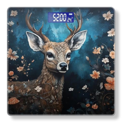 C2558