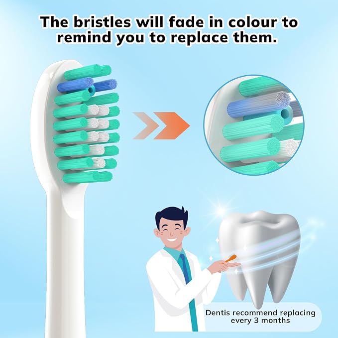 6p White Handle With Blue Bristles