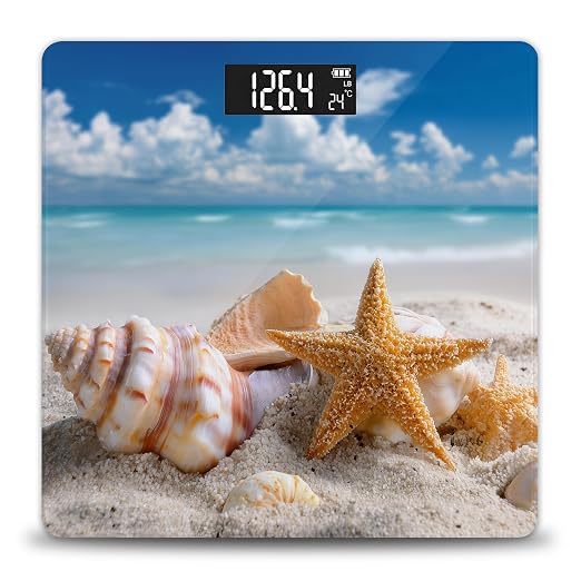 Seashell Beach