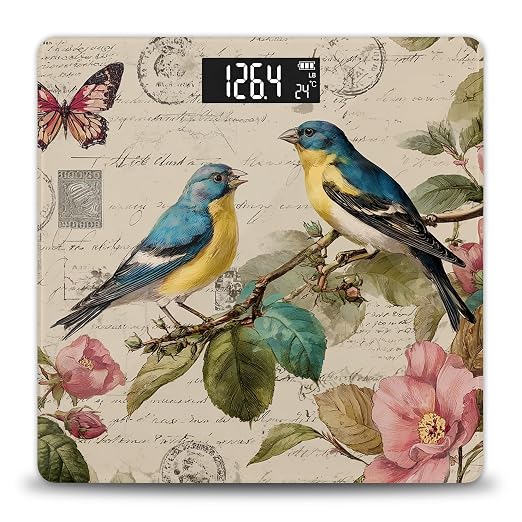 Bird Butterfly Canvas