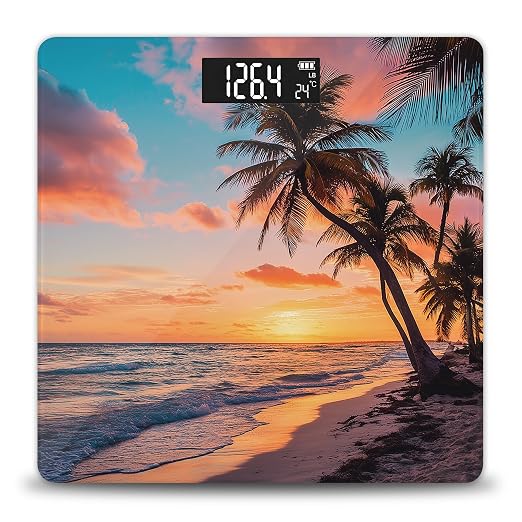 Sunset Beach Palm Tree