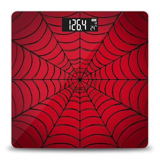 Spider Web