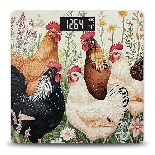 Farm Rooster