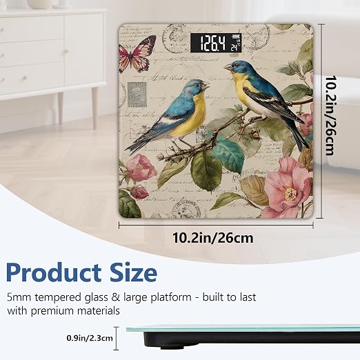 Bird Butterfly Canvas