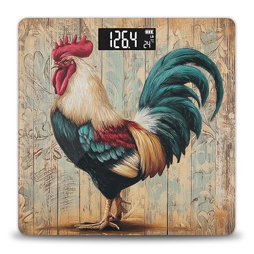 Rooster, Canvas Chicken